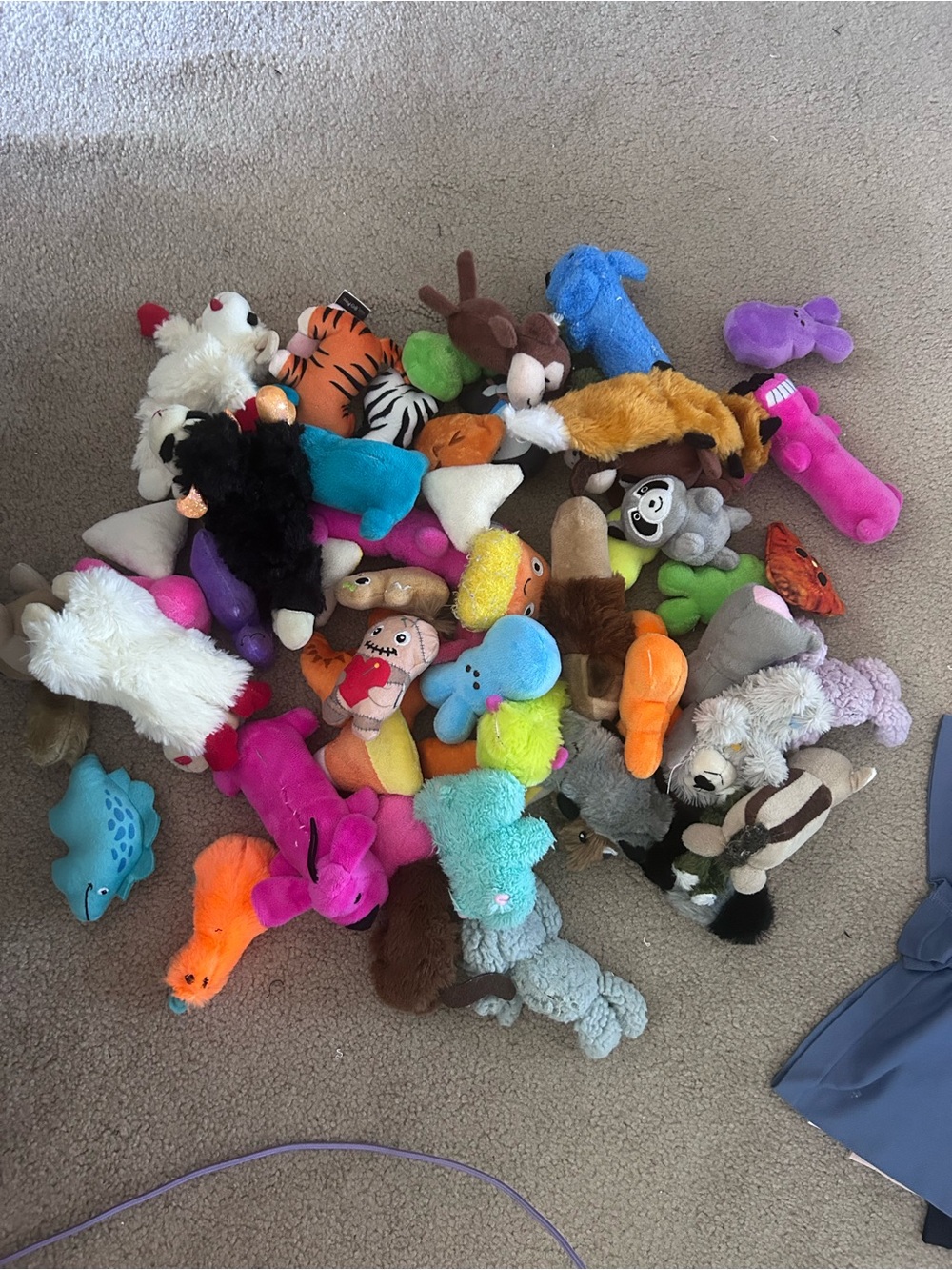 55 Plush Squeaky Dog Toy Assortment - Bright Multicolor Pack
